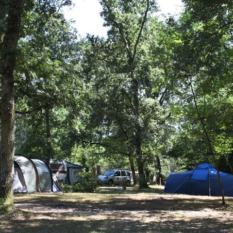 Pitch - Tent, caravan or camper van + vehicle package