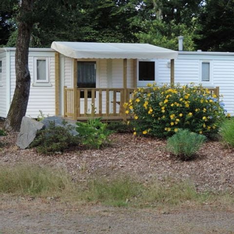 CASA MOBILE 4 persone - 21m²