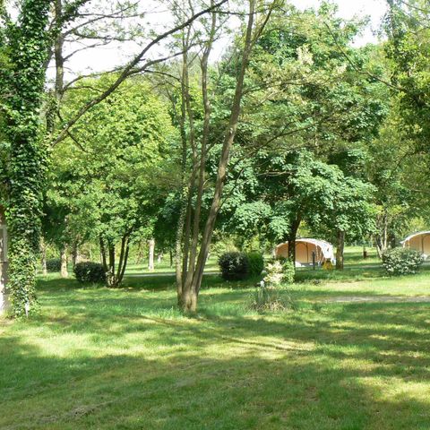 Kampeerplaats - Klassieke standplaats 100m² (2 personen, 1 tent, caravan of camper / 1 auto) +elektriciteit 10A 2 pers