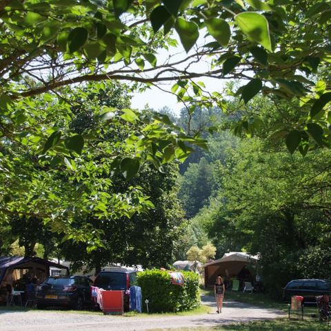 Kampeerplaats - Grote staanplaats : +150 m² (auto + tent/caravan/kampeerauto + 10A elektriciteit) 2 pers