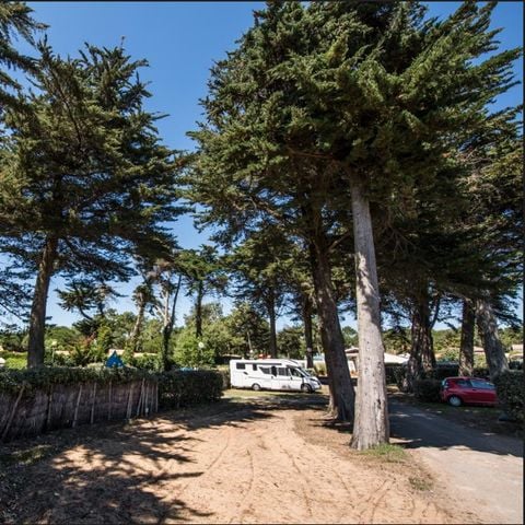 STAANPLAATS - Camper/Caravan/Tent