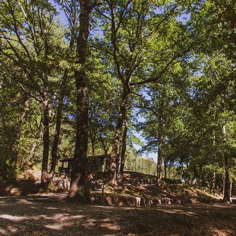 PARCELA - Categoría 1 con electricidad