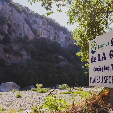 PLOT - Category 1 with electricity