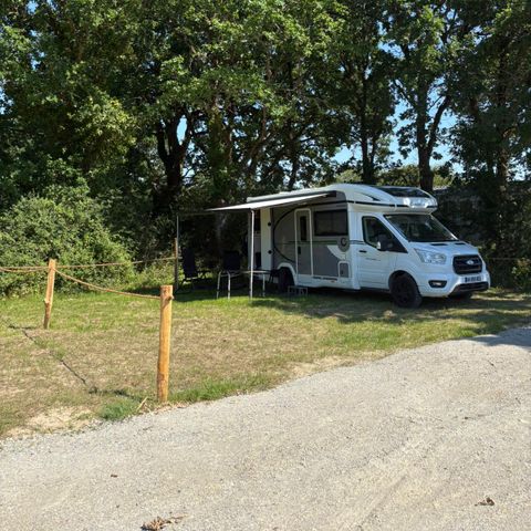 Kampeerplaats - Kampeerplaats 2/6 pers