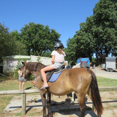 Camping Les P'tites Maisons dans la Prairie Camping Les P'tites Maisons dans la Prairie - Camping Vendée - Image N°32