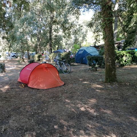 EMPLACEMENT - emplacement camping-car caravane van