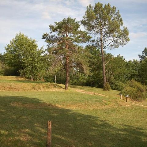 PARCELA -  con vehículo + electricidad