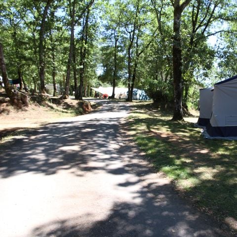 STAANPLAATS -  met voertuig + elektriciteit