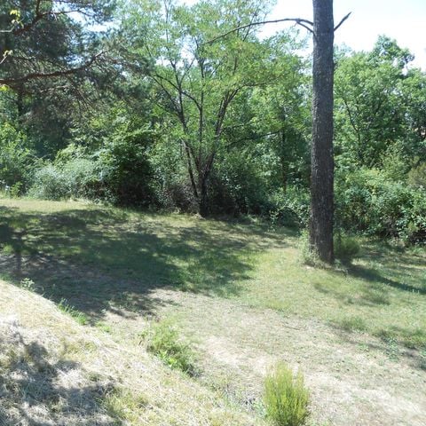 PARCELA -  con vehículo + electricidad