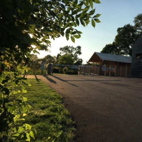 PLOT - Tent / camper / caravan and 1 vehicle without electricity