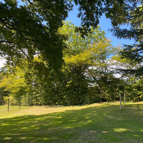 PARCELA - Tienda + Bicicleta / sin electricidad