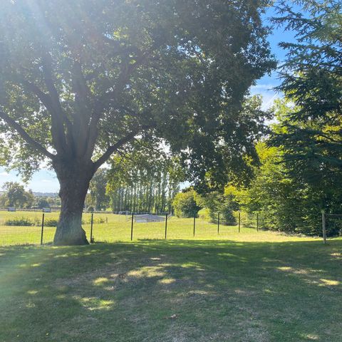 PARCELA - Tienda + Bicicleta / sin electricidad