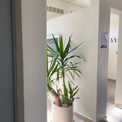 HÉBERGEMENT INSOLITE 4 personnes - Cabane Pod - sanitaires communs