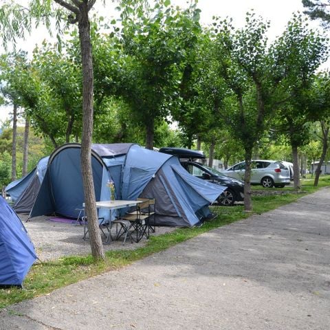 PARCELA - Bosque estándar - No se permiten tiendas de campaña