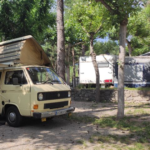 Piazzola - Foresta standard