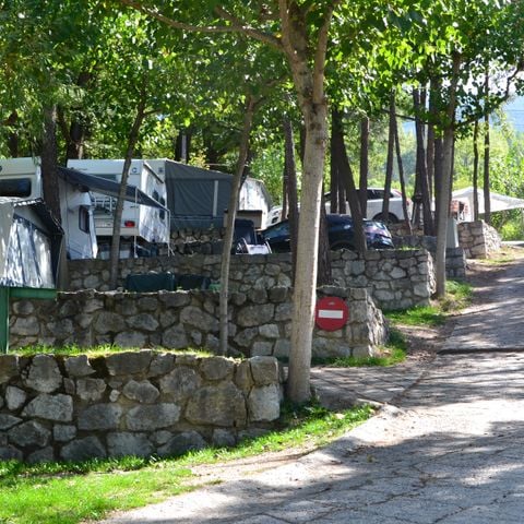 PIAZZOLA - Foresta standard