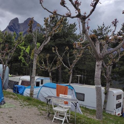 PARCELA - Bosque estándar - No se permiten tiendas de campaña