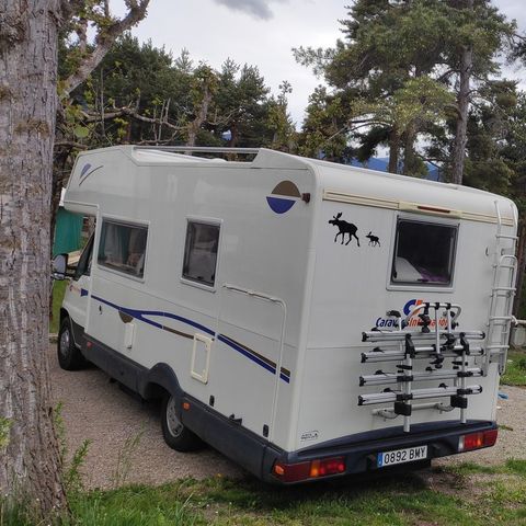 Stellplatz - Stellplatz Plus Forest- Zelte sind nicht erlaubt