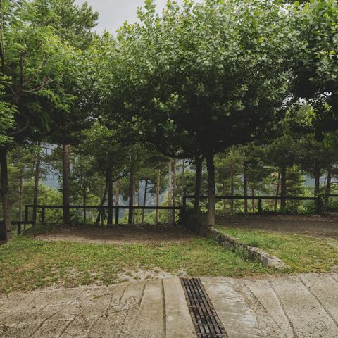 Kampeerplaats - Plus Forest - Tenten zijn niet toegestaan