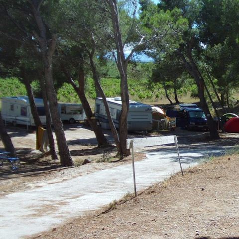 Camping Le Bois de Pins Camping Le Bois de Pins - Camping Pyrenees-Orientales - Image N°25