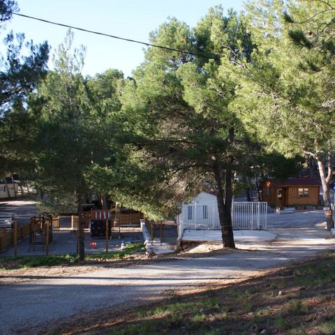 Camping Le Bois de Pins Camping Le Bois de Pins - Camping Pyrenees-Orientales - Image N°21