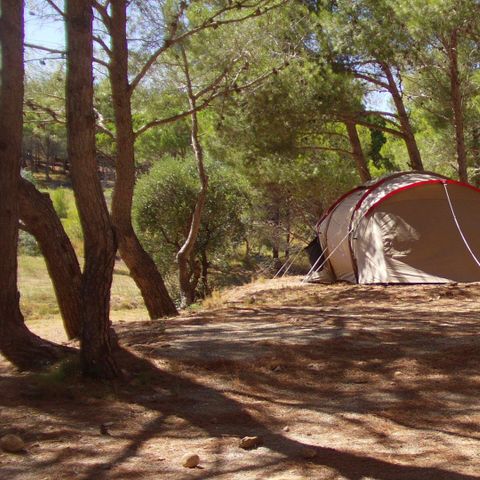 Kampeerplaats - Pakket (1 tent, 2 personen, 1 auto)
