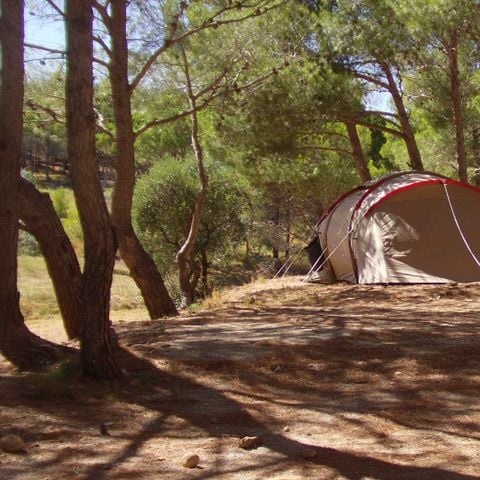 Pitch - Package (1 tent, 2 people, 1 car)