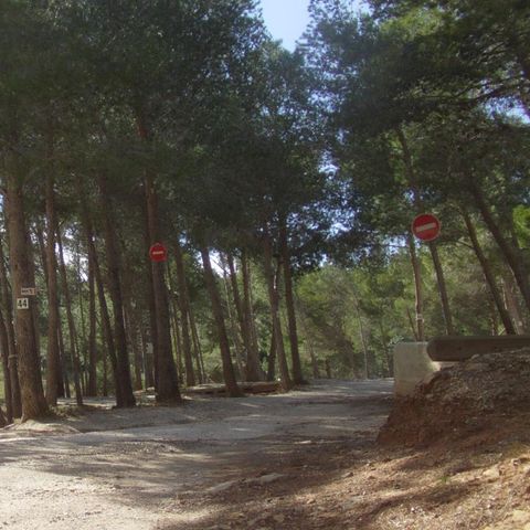 Kampeerplaats - Pakket (caravan of camper / 1 auto)