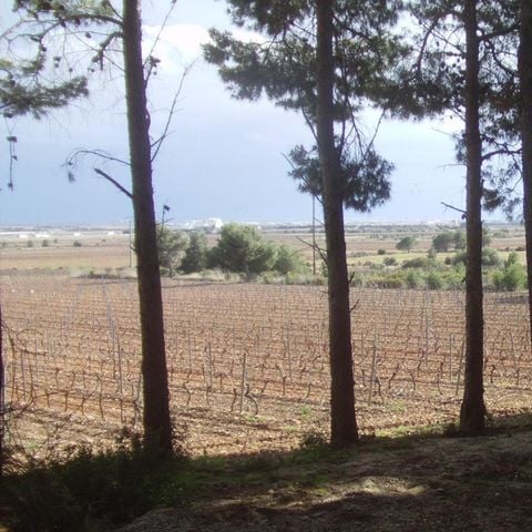 PARCELA - Paquete (caravana o autocaravana / 1 coche)