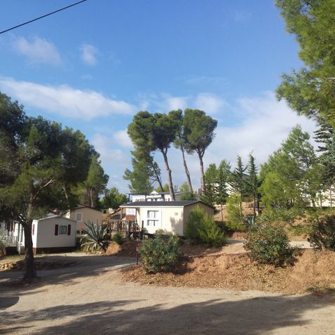 Camping Le Bois de Pins Camping Le Bois de Pins - Camping Pyrenees-Orientales - Image N°24
