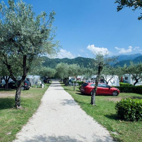 PLOT - Standard pitch - 60m² - 4 AMP