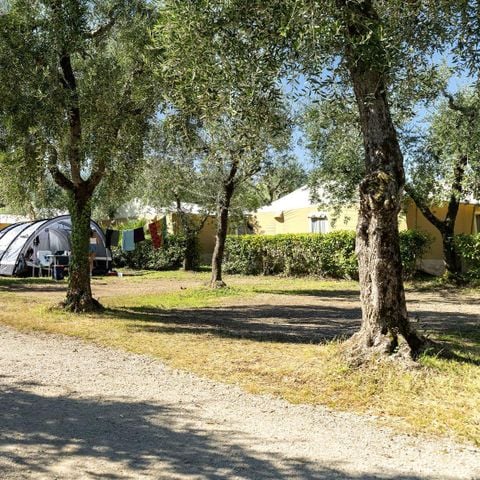 STAANPLAATS - Standaard standplaats - 60m² - 4 AMP