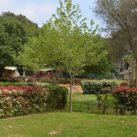 PLOT - Comfort + electricity 10A