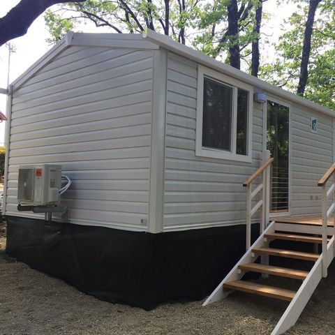 Mobilheim 3 Personen - GRÜNER RAUM