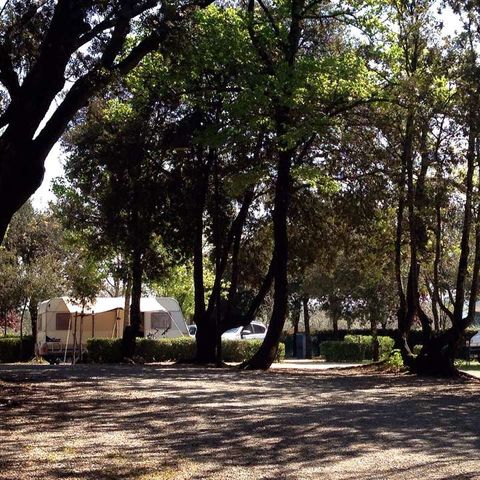Camping Boschetto di piemma Camping Boschetto di piemma - Camping Sienne - Image N°32