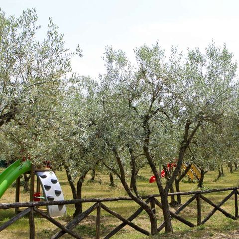 Camping Boschetto di piemma Camping Boschetto di piemma - Camping Sienne - Image N°29