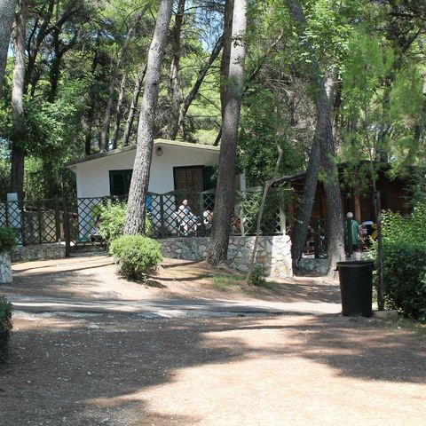 Camping Internazionale San Menaio Camping Internazionale San Menaio - Camping Foggia - Image N°10