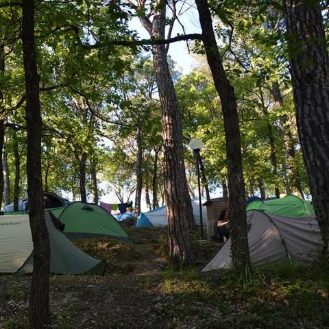 Pitch - Pitch for car or motorbike and tent