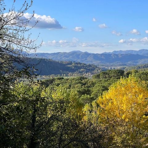 PIAZZOLA - Piazzola per carrello tenda