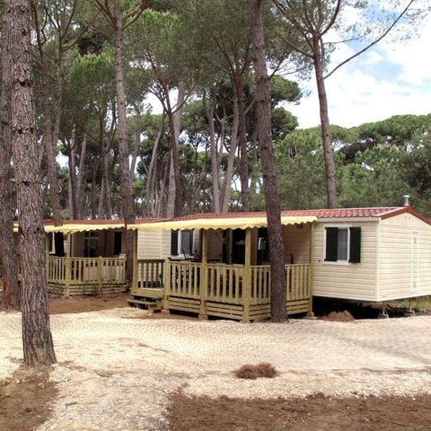 MOBILE HOME 6 people - SunLodge Aspen