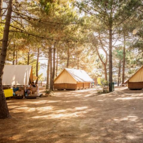 Tente en toile et en bois 5 personnes - Tente Lodge Sans sanitaire - arrivée le samedi en haute saison