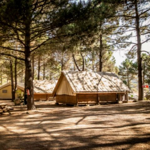 Tente en toile et en bois 4 personnes - Tente Lodge - Sans sanitaires - arrivée le samedi en haute saison