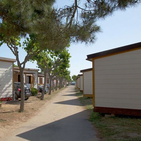 Bungalow 4 personen - Premium B11