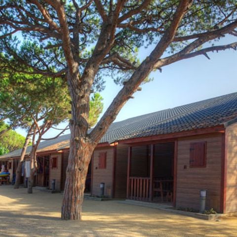 Bungalow 5 persone - Standard B08