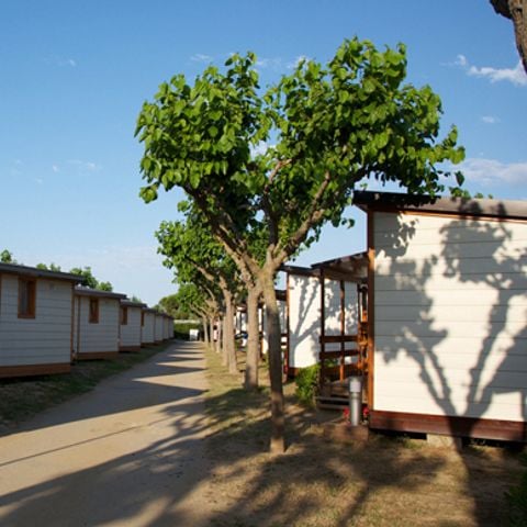 Bungalow 4 personen - Premium B11+