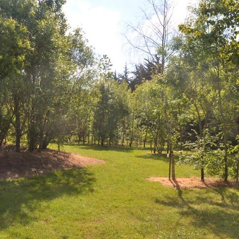 PLOT - Pitch package 1/2 persons + vehicle