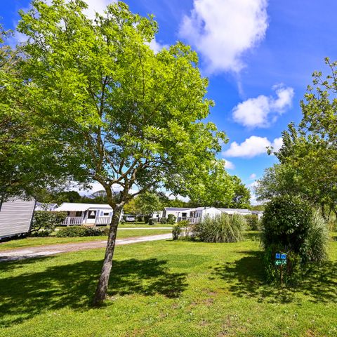 STAANPLAATS - camper