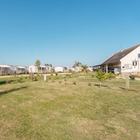 Kampeerplaats - Standplaats | Tent | Voertuig -7m | <85m² | Elektriciteit | Geen water