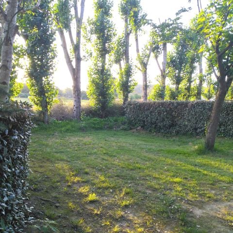 PLOT - Pitches for tents, caravans and motorhomes