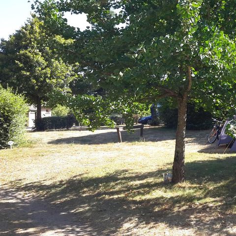 PLOT - Cycle/Rando stop: no vehicle and no electricity